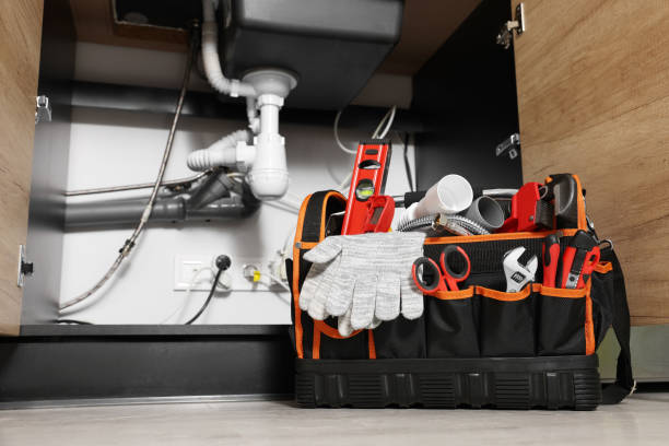 Best Emergency Plumber  in Minneota, MN