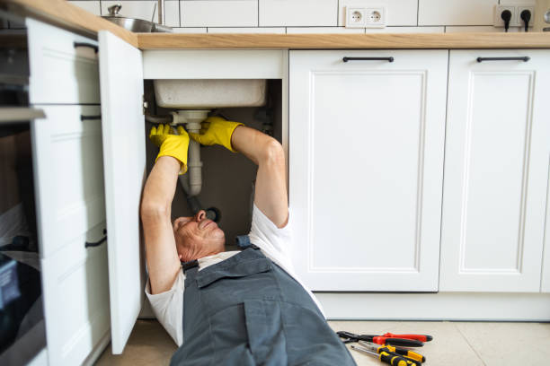 Minneota, MN Plumbing Pros