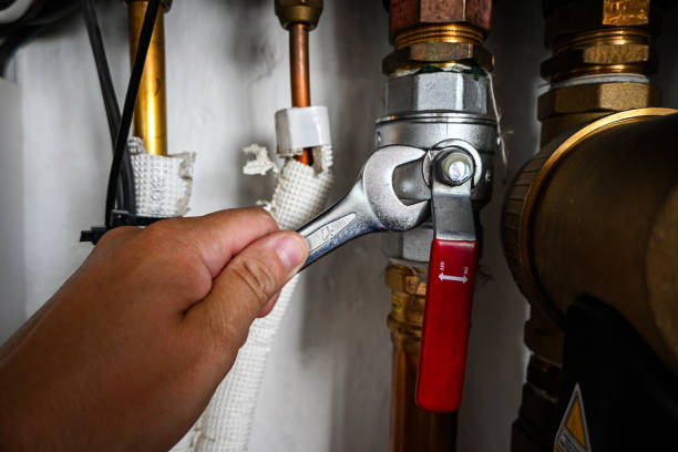 Best 24-Hour Plumber Near Me  in Minneota, MN
